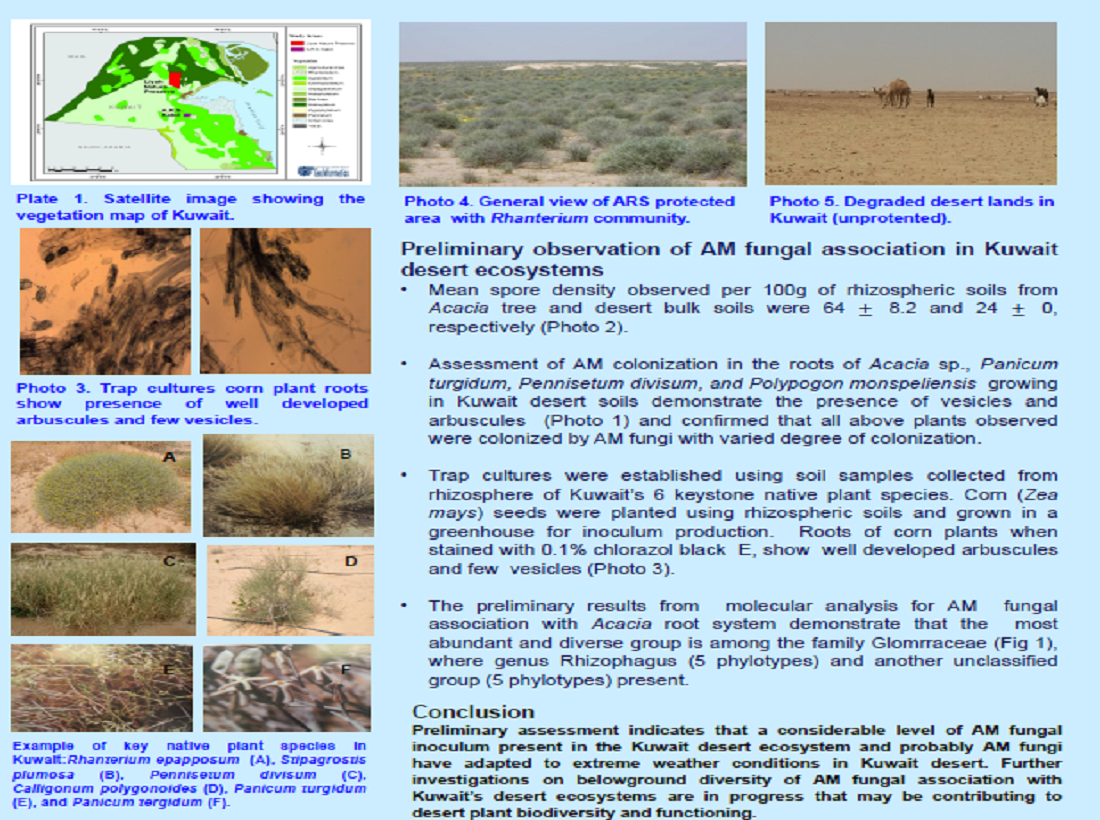 Desert Plants and Mycorrhizae: Need for Mycorrhizal Research in Kuwait Desert Ecosystem